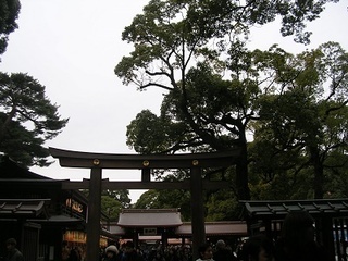 DSCN5295.JPG