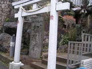 DSCN5364.JPG