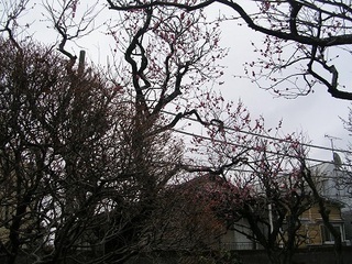 DSCN5366.JPG