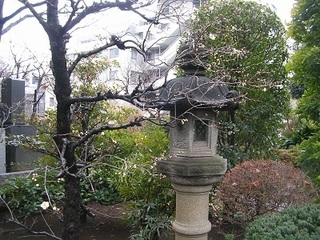 DSCN5368.JPG
