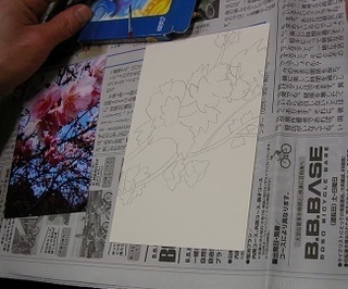 DSCN5436.JPG