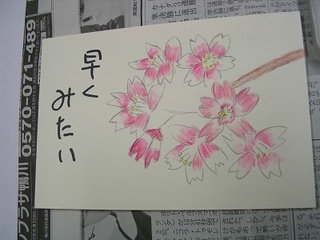 DSCN5445.JPG