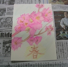 DSCN5448.JPG