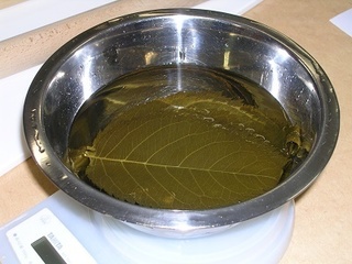 DSCN5474.JPG
