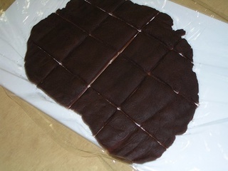 DSCN5487.JPG