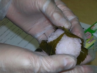 DSCN5494.JPG