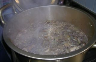 ほうとう(肉追加・灰汁).JPG