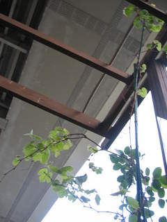 0806画像 018.jpg