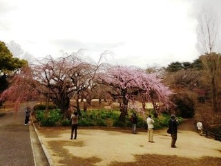 20150320rekunokai04.jpg