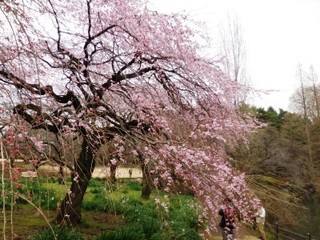 20150320rekunokai06.jpg