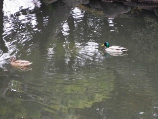 20150320rekunokai11.jpg