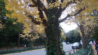 DSC_1345.jpg