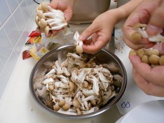 しめじ子房分ける.JPG