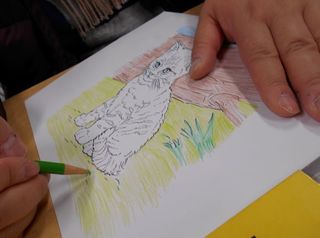 塗り絵2(猫).jpg