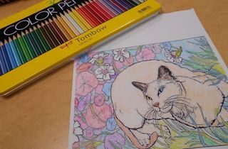 猫完.jpg